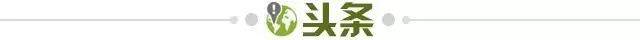 【早报】曼城正式登顶，罗塞尼尔下课！